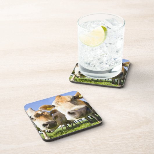 Dorset, Großbritannien Untersetzer (Rechte Seite)