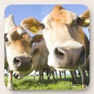 Dorset, Großbritannien Untersetzer