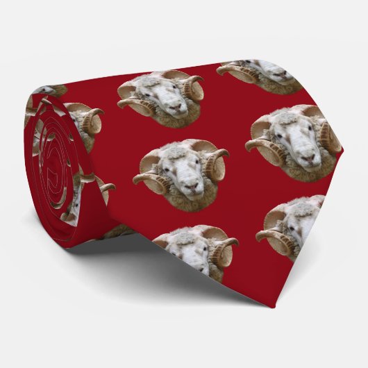 Dorset Horn Krawatte (Gerollt)