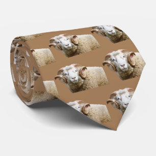 Dorset Horn Krawatte