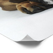 Dorset Old Tyme Bulldog Poster (Ecke)