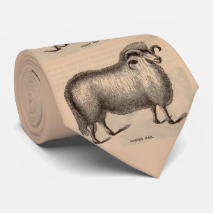 Dorset ram Schafe im 19. Jahrhundert drucken Krawatte