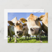 Dorset, UK Postkarte (Vorne/Hinten)