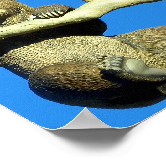 dort hängen poster (Ecke)