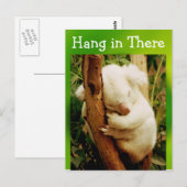 dort Postkarte aufhängen (Vorne/Hinten)