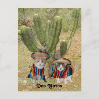 Dos Gatos Postkarte