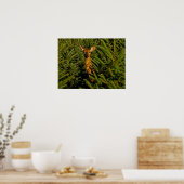 Dose in Pine Trees Poster (Küche)