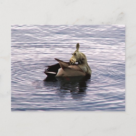 Dose Postkarte (Vorderseite)