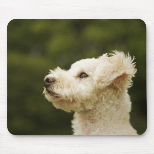 Dose (weiß) 2 mousepad (Vorne)