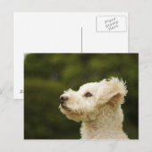 Dose (weiß) 2 postkarte (Vorne/Hinten)