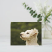 Dose (weiß) 2 postkarte (Stehend Vorderseite)