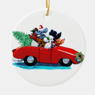 Dosen in Retro Convertible Ornamente