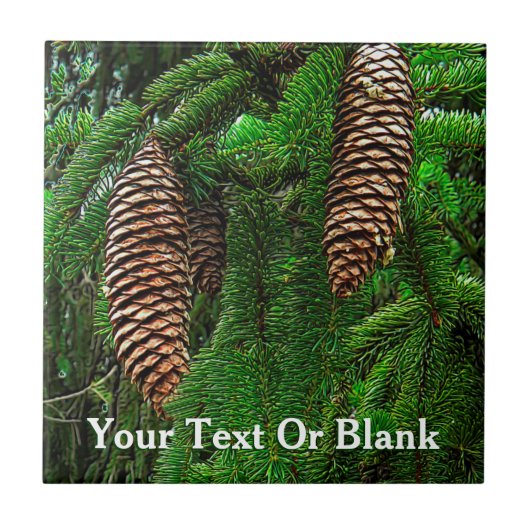 Dosen und Nadeln Fliese (Vorderseite)