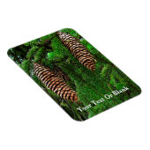 Dosen und Nadeln Magnet (Rechte Seite)