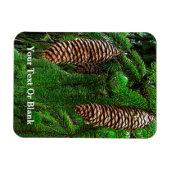 Dosen und Nadeln Magnet (Horizontal)