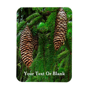 Dosen und Nadeln Magnet