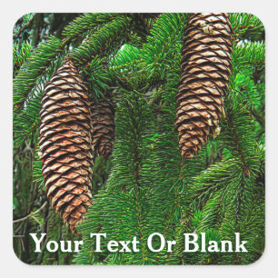 Dosen und Nadeln Quadratischer Aufkleber