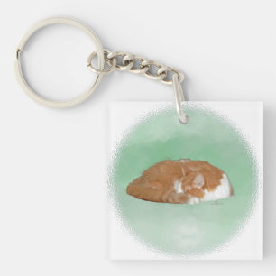 Dösende Orange Katze Schlüsselanhänger