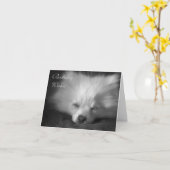 Dösende Spitzgeburtstagskarte Karte (Gelbe Blume)