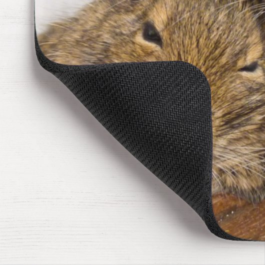 Dösendes Degu Trio Mousepad (Ecke)