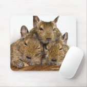 Dösendes Degu Trio Mousepad (Mit Mouse)
