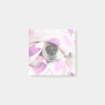 Dosennose - Anmerkungen