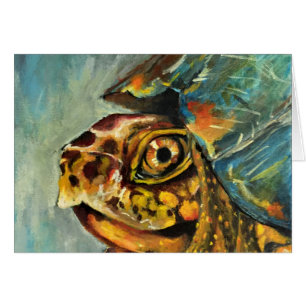 Dosenschildkröte
