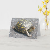 Dosenschildkröte-Anmerkungs-Karte Karte (Gelbe Blume)