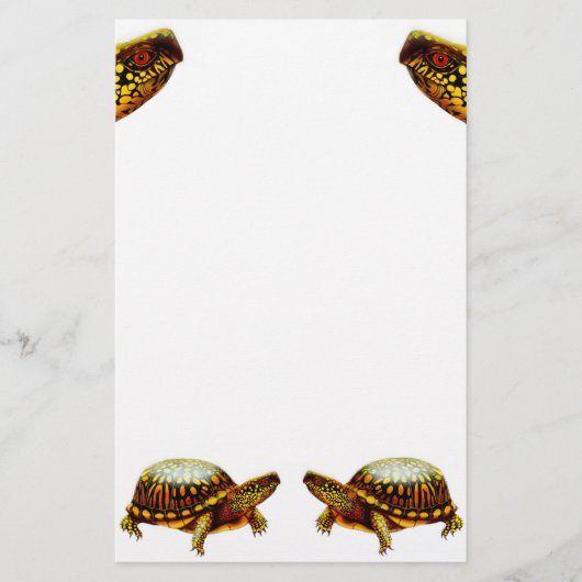 Dosenschildkröte-Briefpapier Briefpapier (Vorderseite)