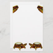 Dosenschildkröte-Briefpapier Briefpapier (Vorne/Hinten)