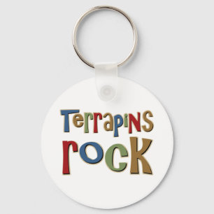 Dosenschildkröte-Felsen Schlüsselanhänger