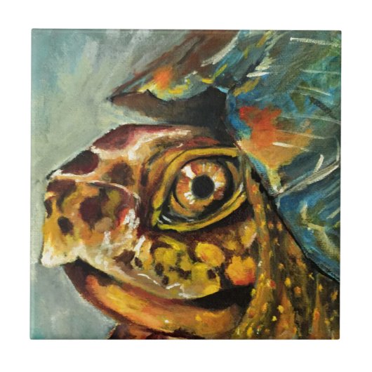 Dosenschildkröte Fliese (Vorderseite)