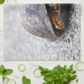 Dosenschildkröte Geschirrtuch (Gefaltet)