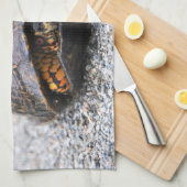 Dosenschildkröte Geschirrtuch (Viertel Falte)