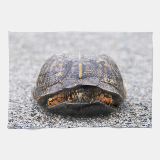 Dosenschildkröte Geschirrtuch (Horizontal)