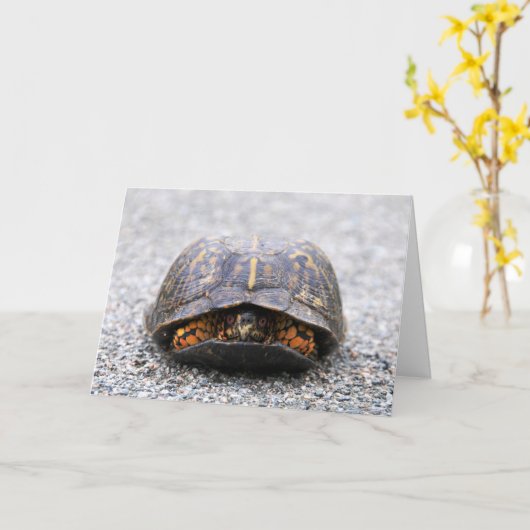 Dosenschildkröte Karte (Gelbe Blume)