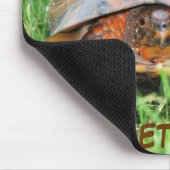 Dosenschildkröte-Mausunterlage Mousepad (Ecke)