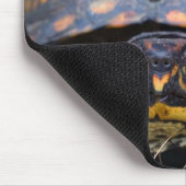 Dosenschildkröte Mousepad (Ecke)
