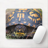 Dosenschildkröte Mousepad (Mit Mouse)