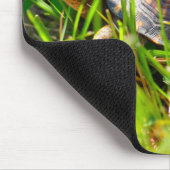 Dosenschildkröte Mousepad (Ecke)