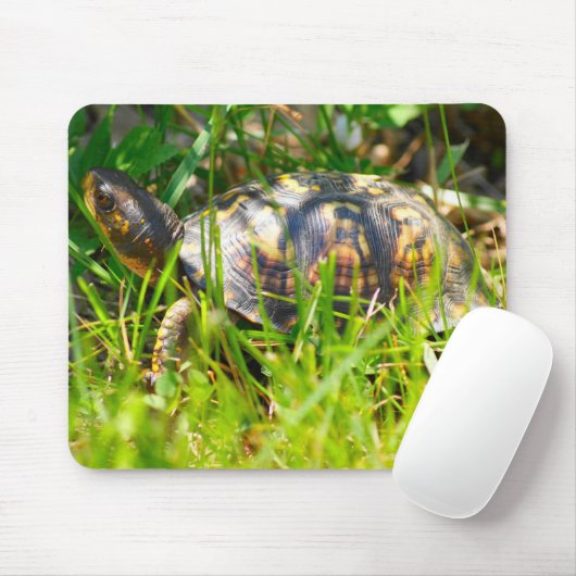 Dosenschildkröte Mousepad (Mit Mouse)