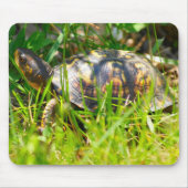 Dosenschildkröte Mousepad (Vorne)
