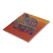 Dosenschildkröte, Schildkröte Fliese (Seite)