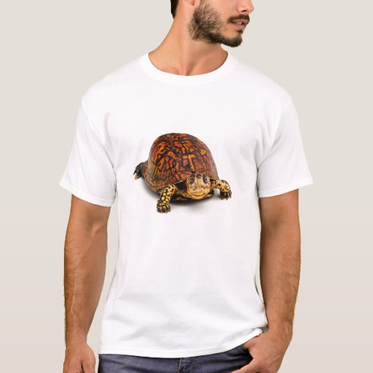 Dosenschildkröte T-Shirt (Vorderseite)