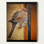 Dosierung Planer (Rückseite)