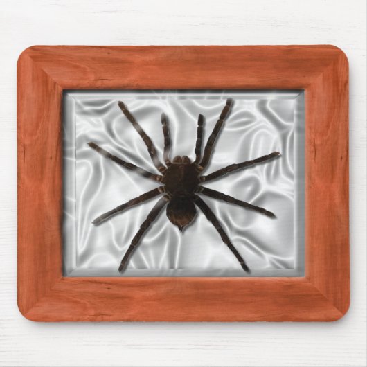 Dosierungskasten - Tarantula Mousepad (Vorne)