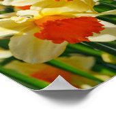 Doster Poster (Ecke)