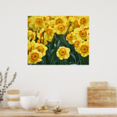 Doster Poster (Küche)