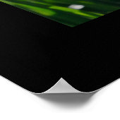 Doster Poster (Ecke)
