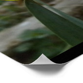 Doster Poster (Ecke)